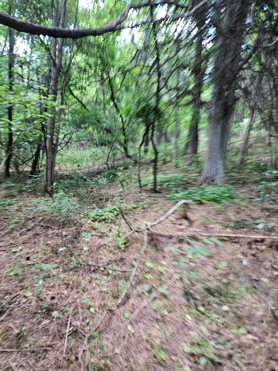 3.39 acres Mossy Creek Rd, Mount Solon, VA 22843 - #2