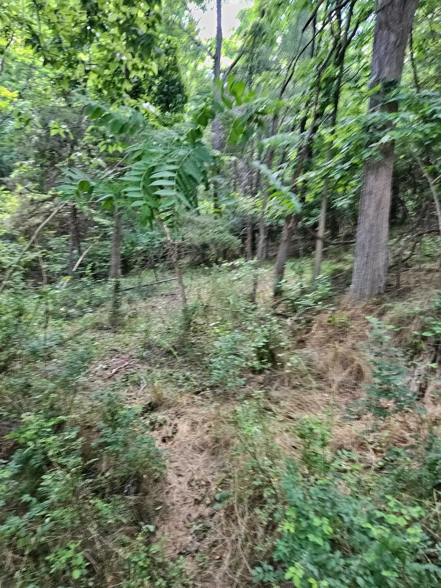 3.39 acres Mossy Creek Rd, Mount Solon, VA 22843 - #3