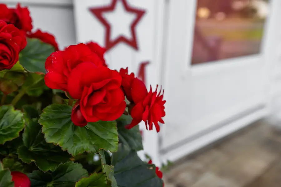 57 Greenbriar Ln, Stuarts Draft, VA 24477 - Image #2