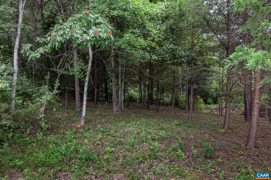 Lot 69 Palmer Pl, Ruckersville, VA 22968 - #3