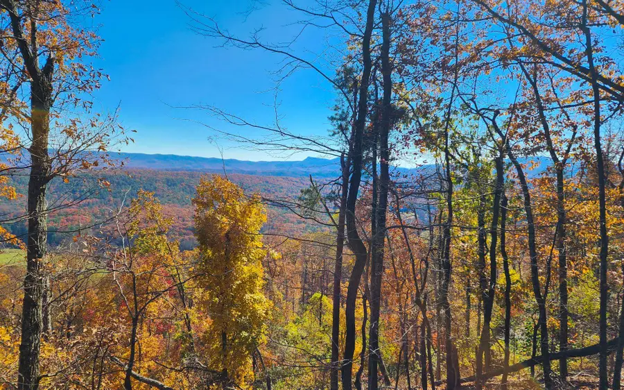 0 Big River Rd, Goshen, VA 24439 - Image #3