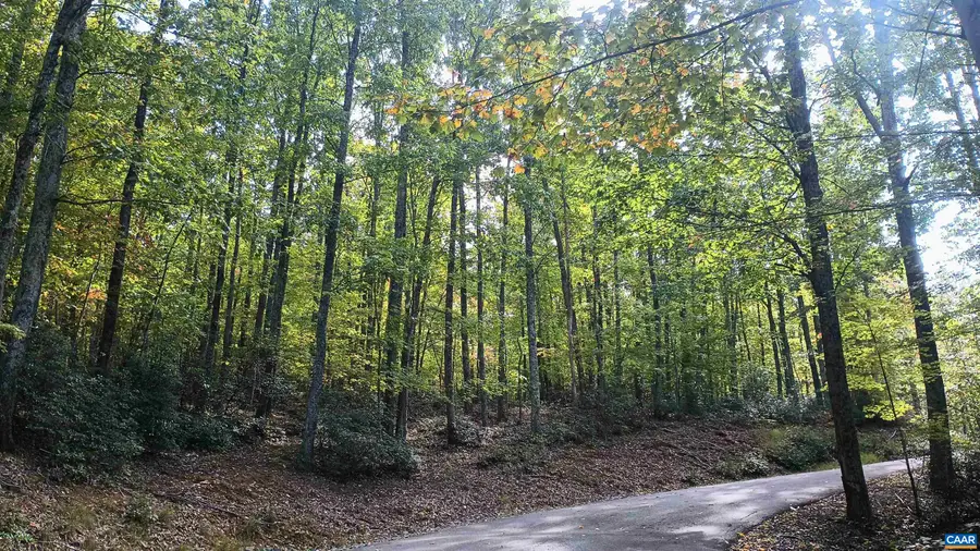 0 Oakcrest Ln, Nellysford, VA 22958 - Image #2