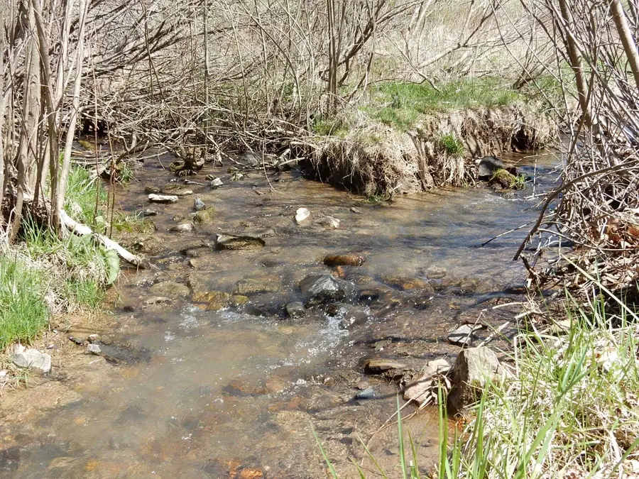 tbd Sam Snead Hwy, Warm Springs, VA 24484 - Image #3