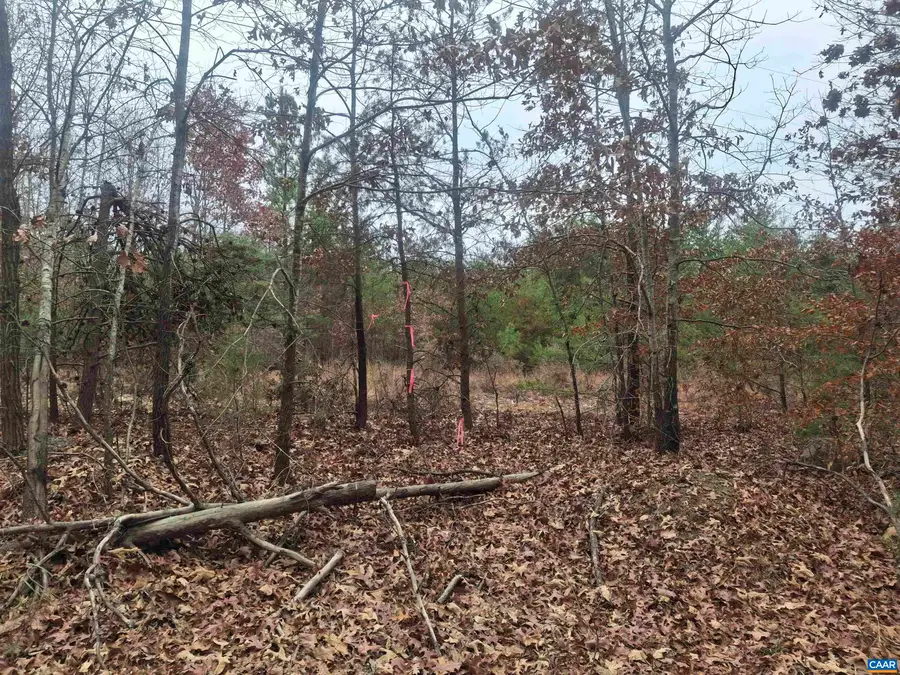 0 Indian Pipe Run, Palmyra, VA 22963 - Image #3