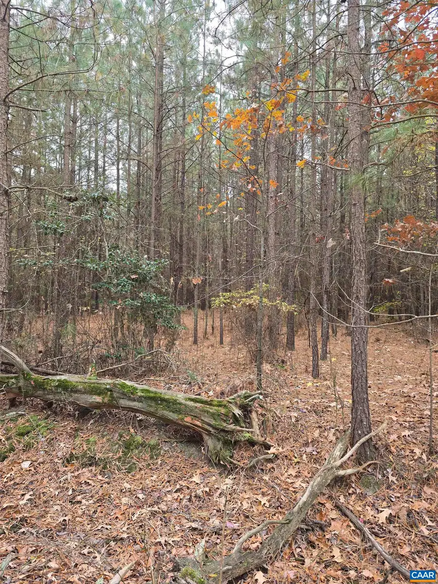 16 Evergreen Dr, Colonial Beach, VA 22443 - Image #2