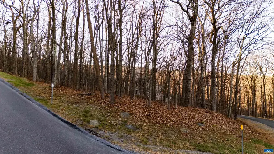 23 North Rock Tree Ln, Wintergreen Resort, VA 22967 - Image #2