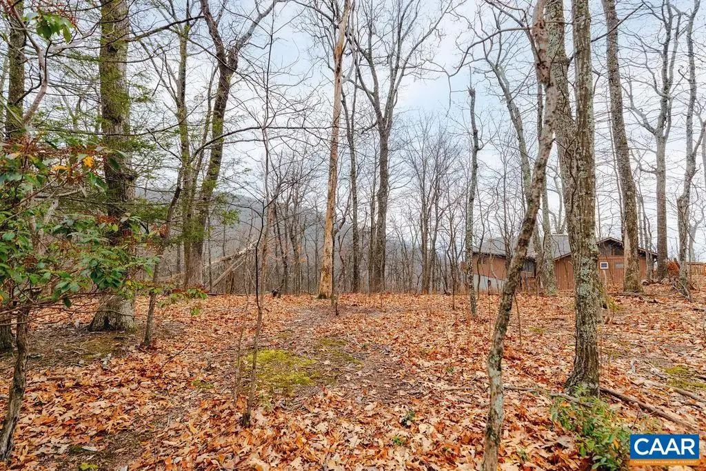 63 Gumtree Rd, Wintergreen Resort, VA 22967 - Image #1