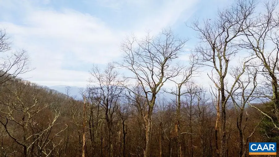 63 Gumtree Rd, Wintergreen Resort, VA 22967 - Image #2