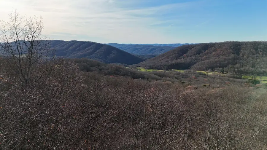 Charlie Bird Dr, Hot Springs, VA 24445 - Image #3