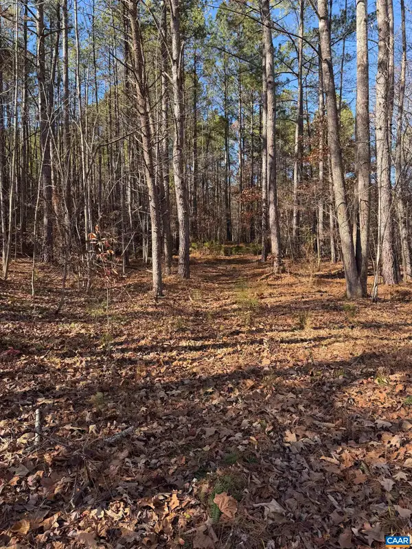 TBD Union Hill Dr, Wingina, VA 24599