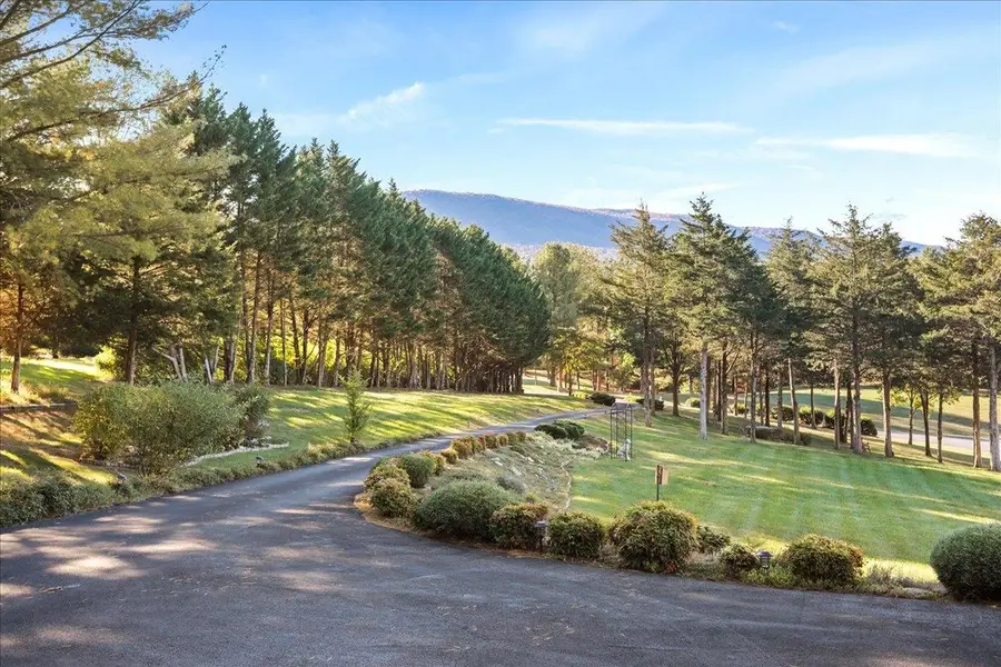 40 Birdsong Ln, Edinburg, VA 22824 - #3