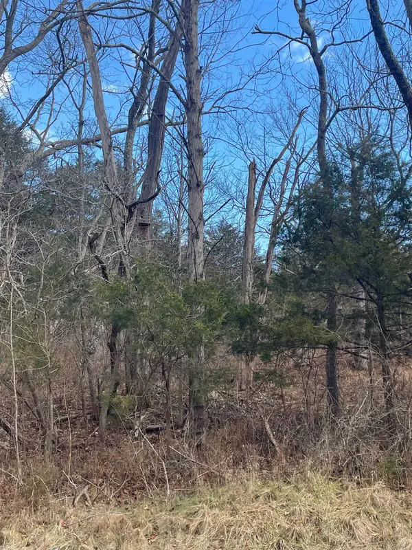 TBD Walker Creek Rd, Middlebrook, VA 24459