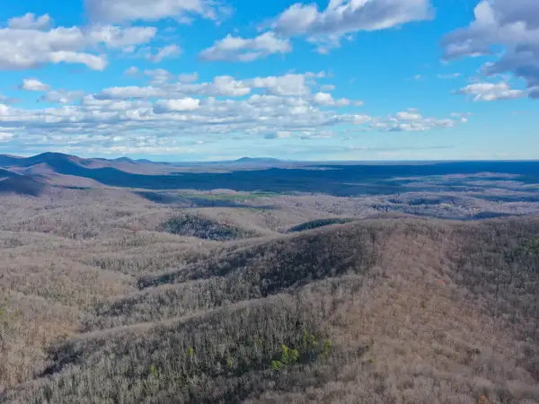 TBD Johnson Hollow, Schuyler, VA 22969