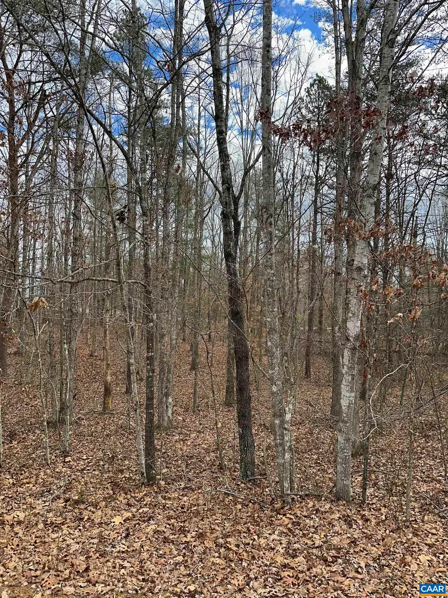 Lot 220 Pinehurst Dr, Louisa, VA 23093 - Image #3