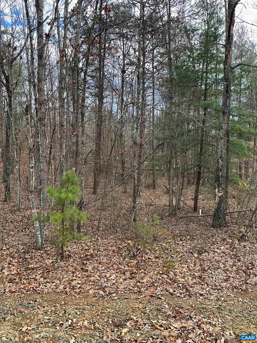 Lot 219 Pinehurst Dr, Louisa, VA 23093 - #2