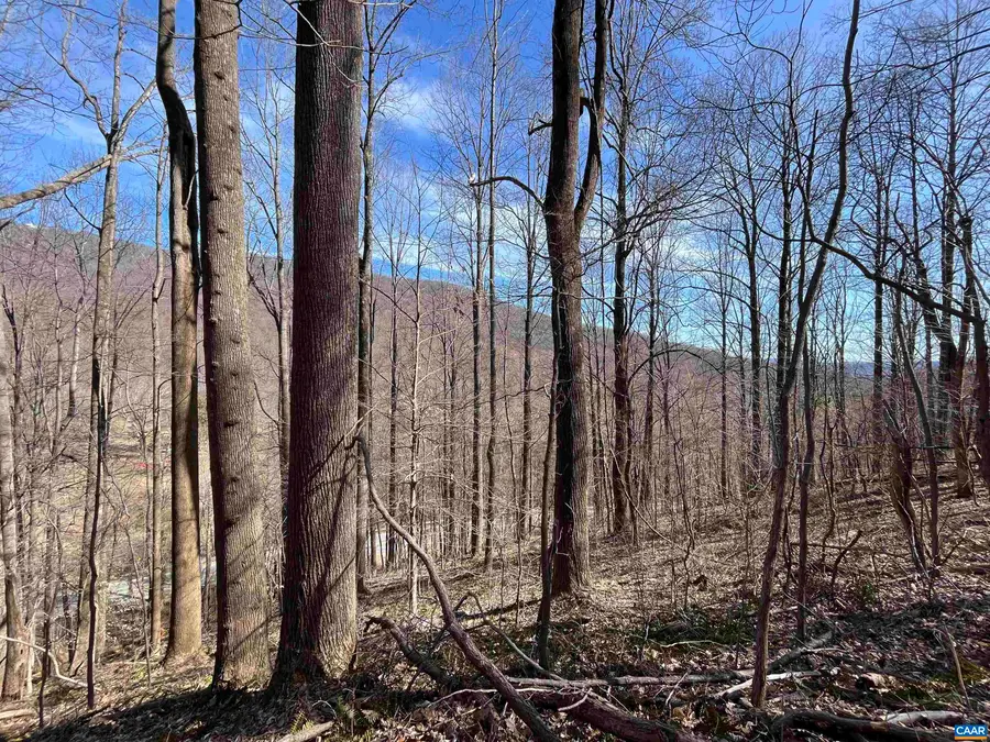 TBD Beech Grove Rd, Roseland, VA 22967 - #2