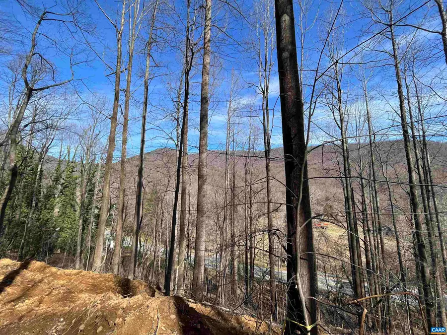 TBD Beech Grove Rd, Roseland, VA 22967 - #3