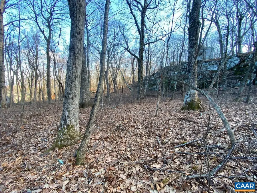 462 Deer Springs Ln, Wintergreen Resort, VA 22967 - Image #3