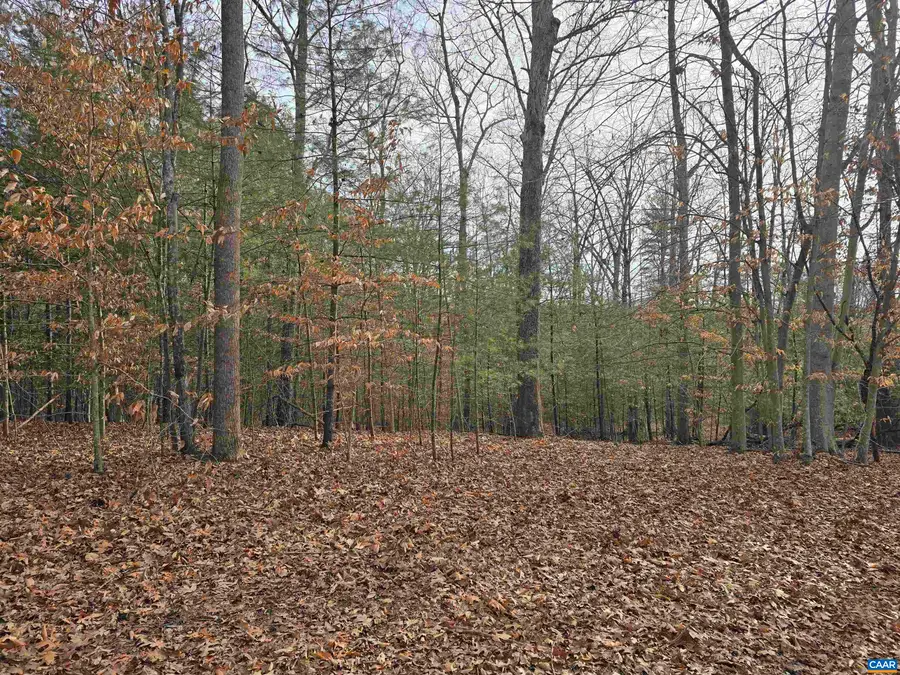 6 Runaway Ln, Stanardsville, VA 22973 - #2