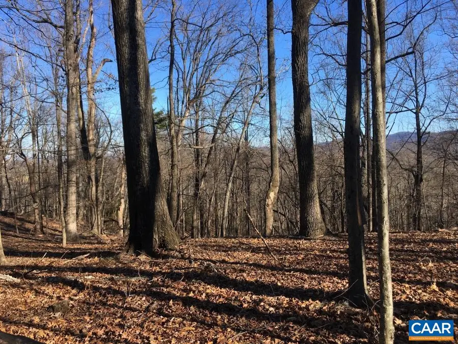 0 Batesville Rd, Afton, VA 22920 - Image #3