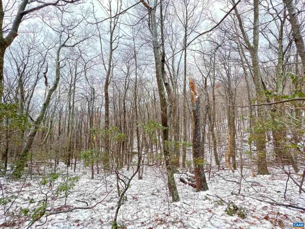 1843 Wintergreen Dr, Wintergreen Resort, VA 22967