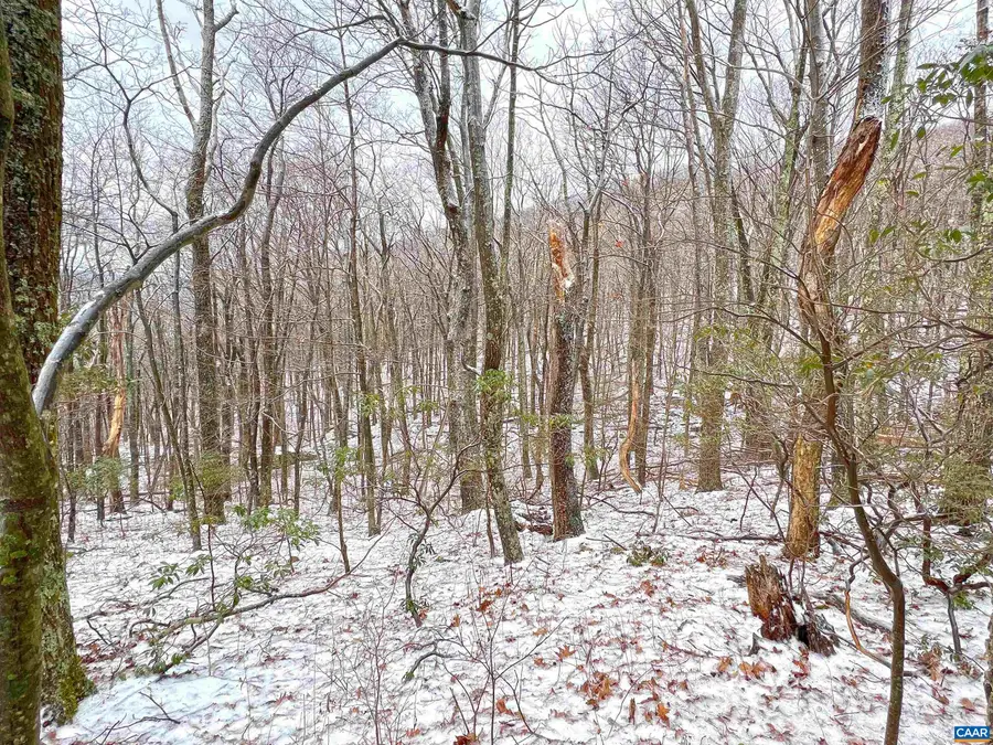 1843 Wintergreen Dr, Wintergreen Resort, VA 22967 - Image #2