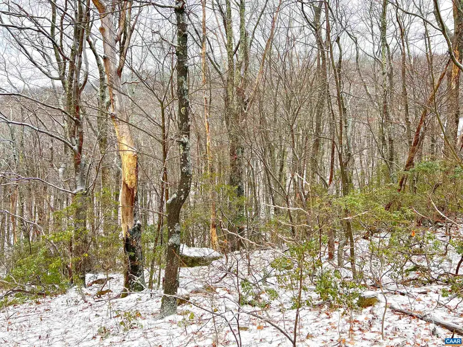 1843 Wintergreen Dr, Wintergreen Resort, VA 22967 - Image #3