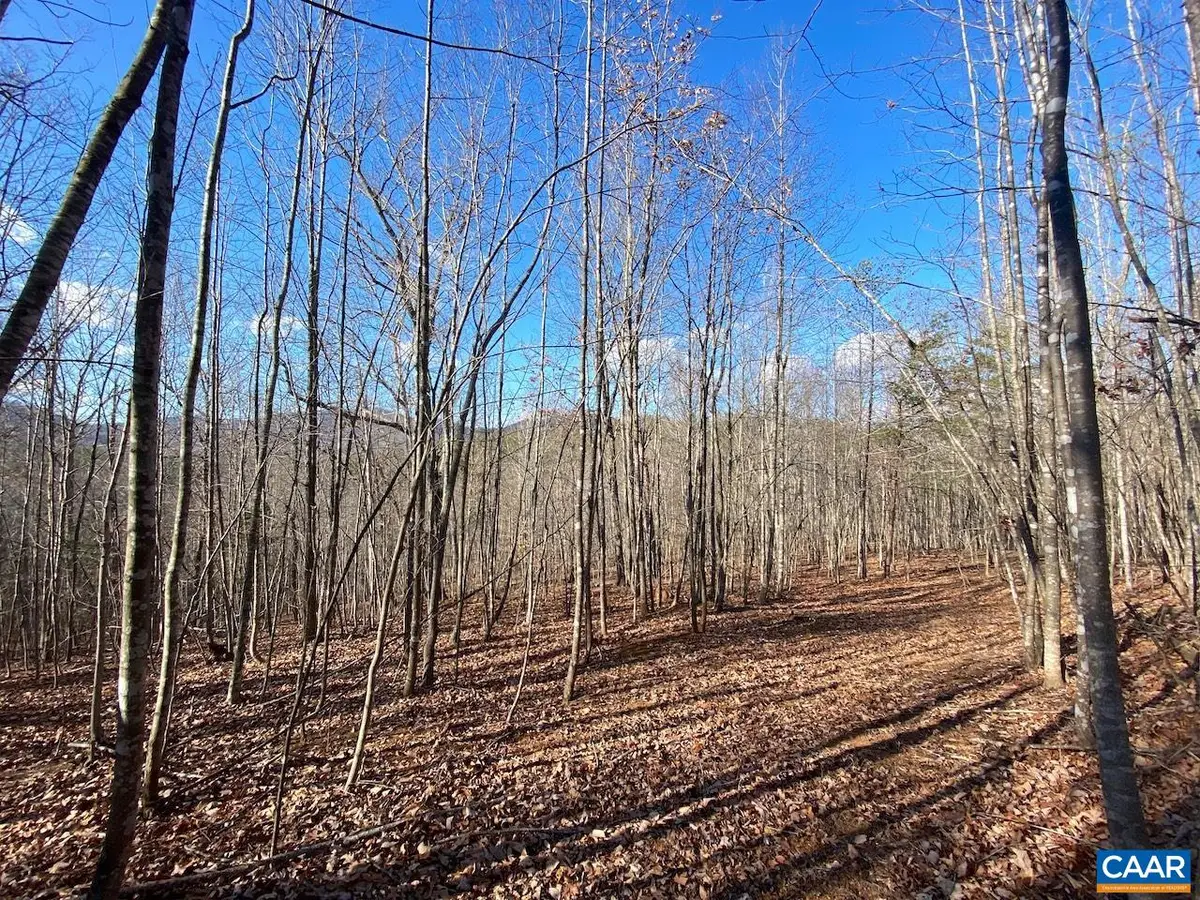 Walnut Grove Ln, Lovingston, VA 22949 - Image #1