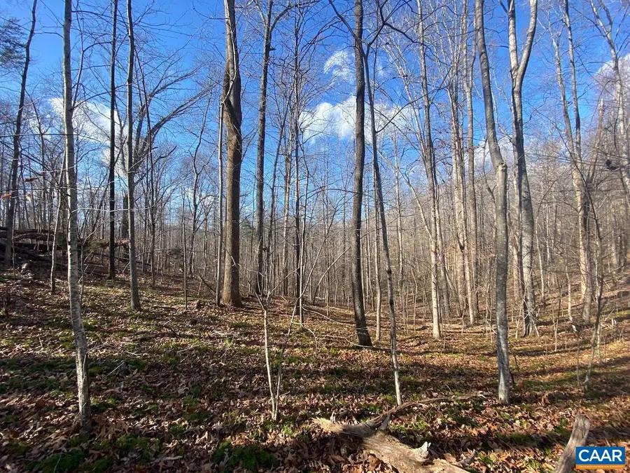 Walnut Grove Ln, Lovingston, VA 22949 - Image #2