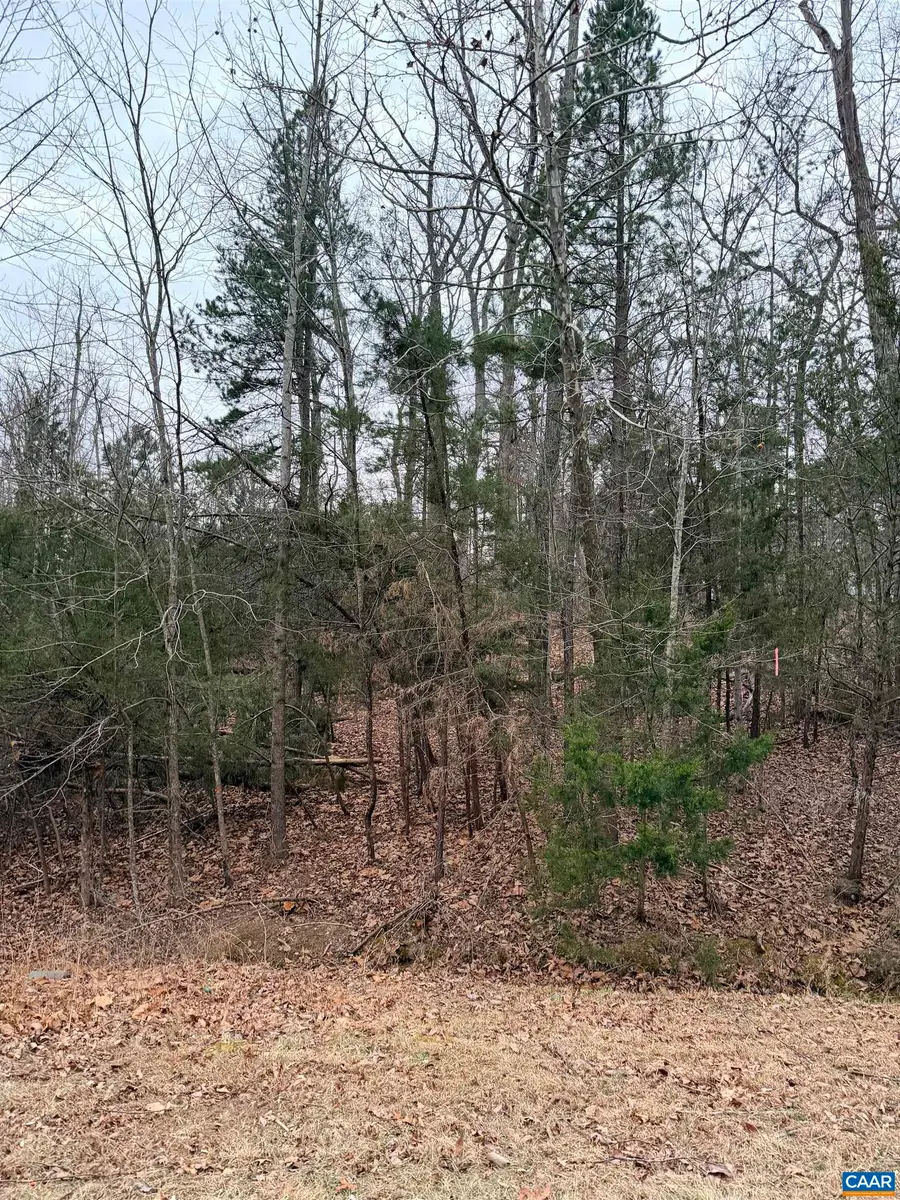 2 Goodman Ln, Palmyra, VA 22963 - Image #3