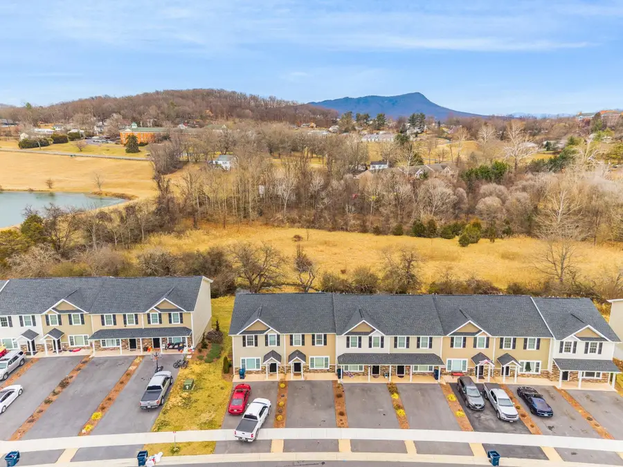 1113 Harvest Ct, Massanetta Springs, VA 22801 - Image #3