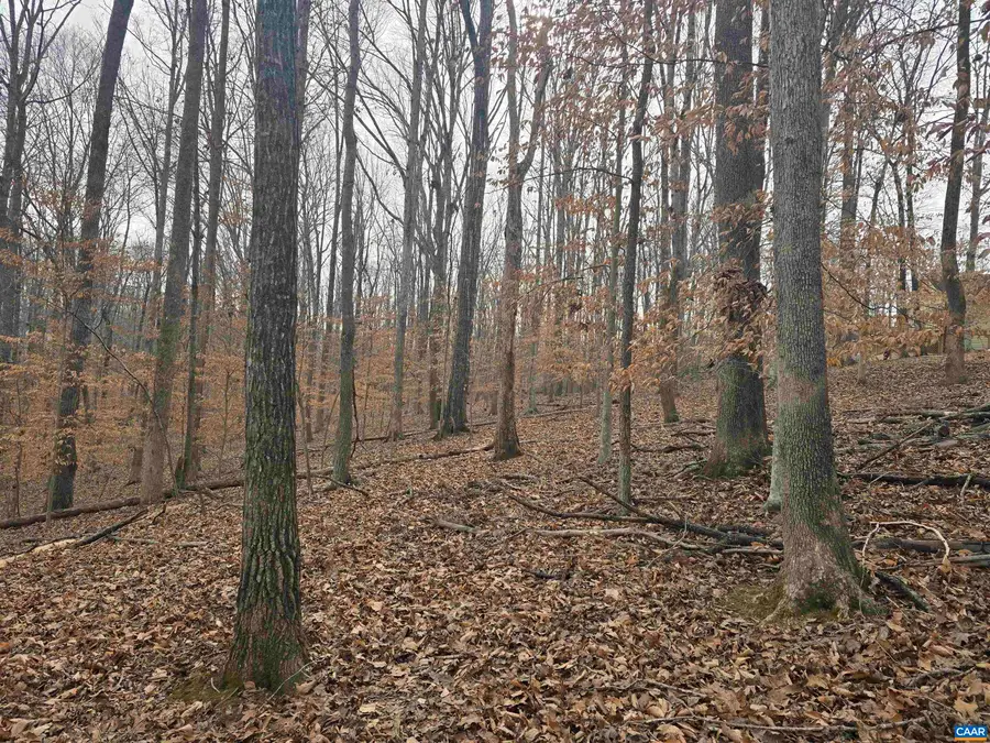 0 Barrett St, Palmyra, VA 22963 - Image #3