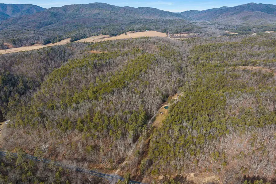 595 Deerfield Valley Rd, West Augusta, VA 24485 - #3