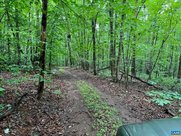 Howardsville Tpke, Schuyler, VA 22969