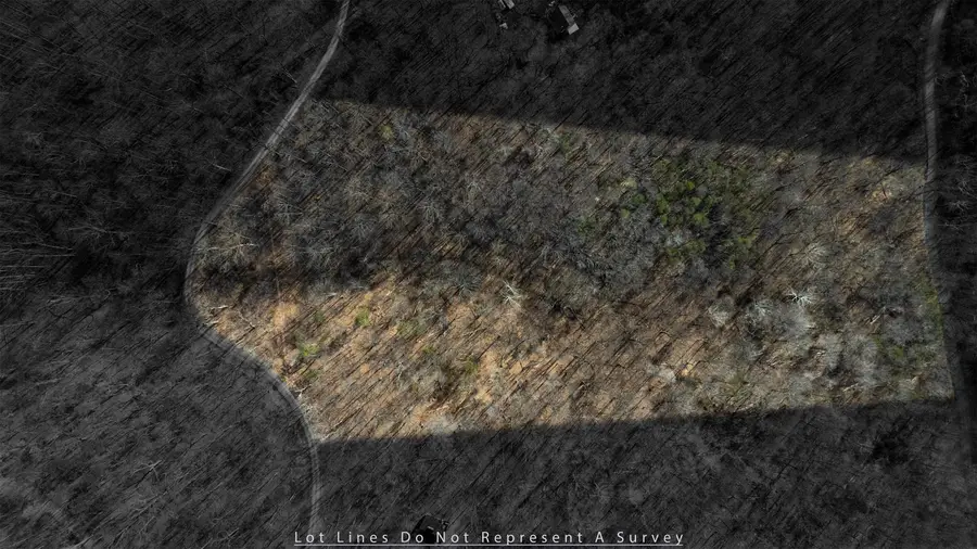 TBD Hensley Hollow, Elkton, VA 22827 - #3