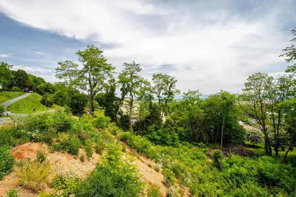 Valley View Dr, Mount Sidney, VA 24467