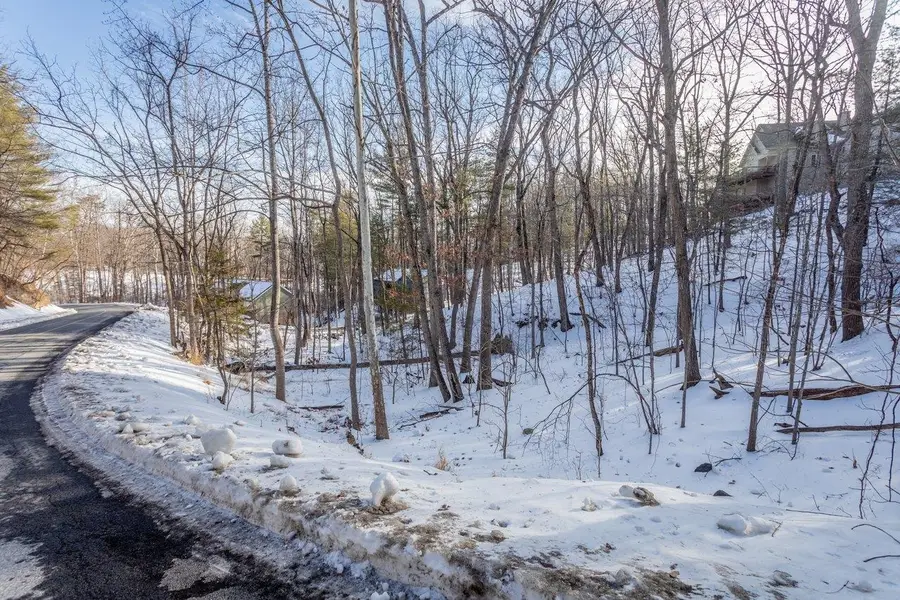 2167 Lanier Ln, McGaheysville, VA 22840 - #2