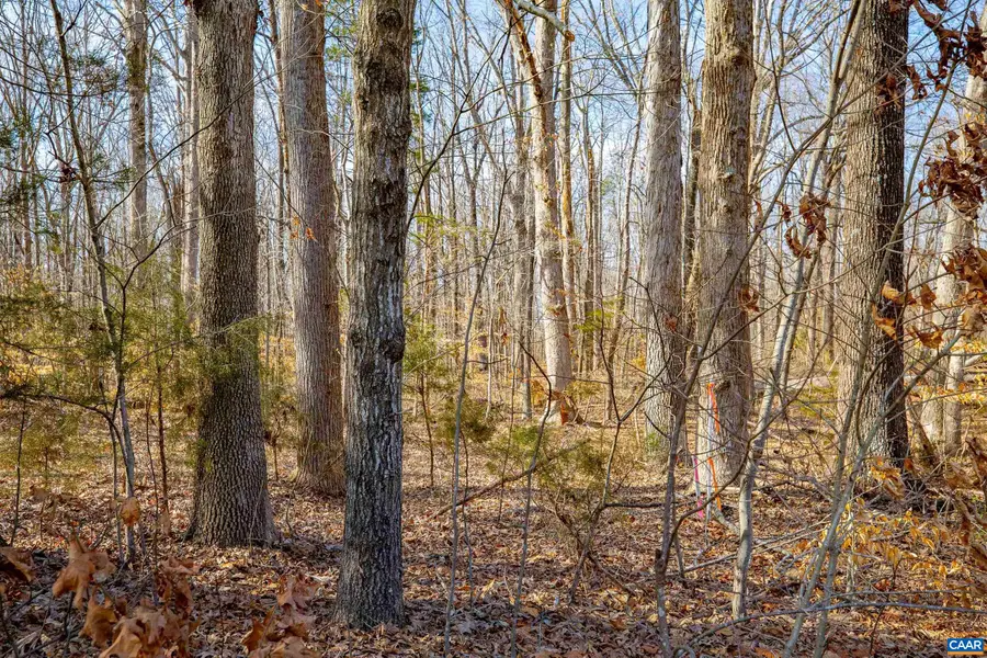 3335A Redd Shop Rd, Farmville, VA 23901 - #3