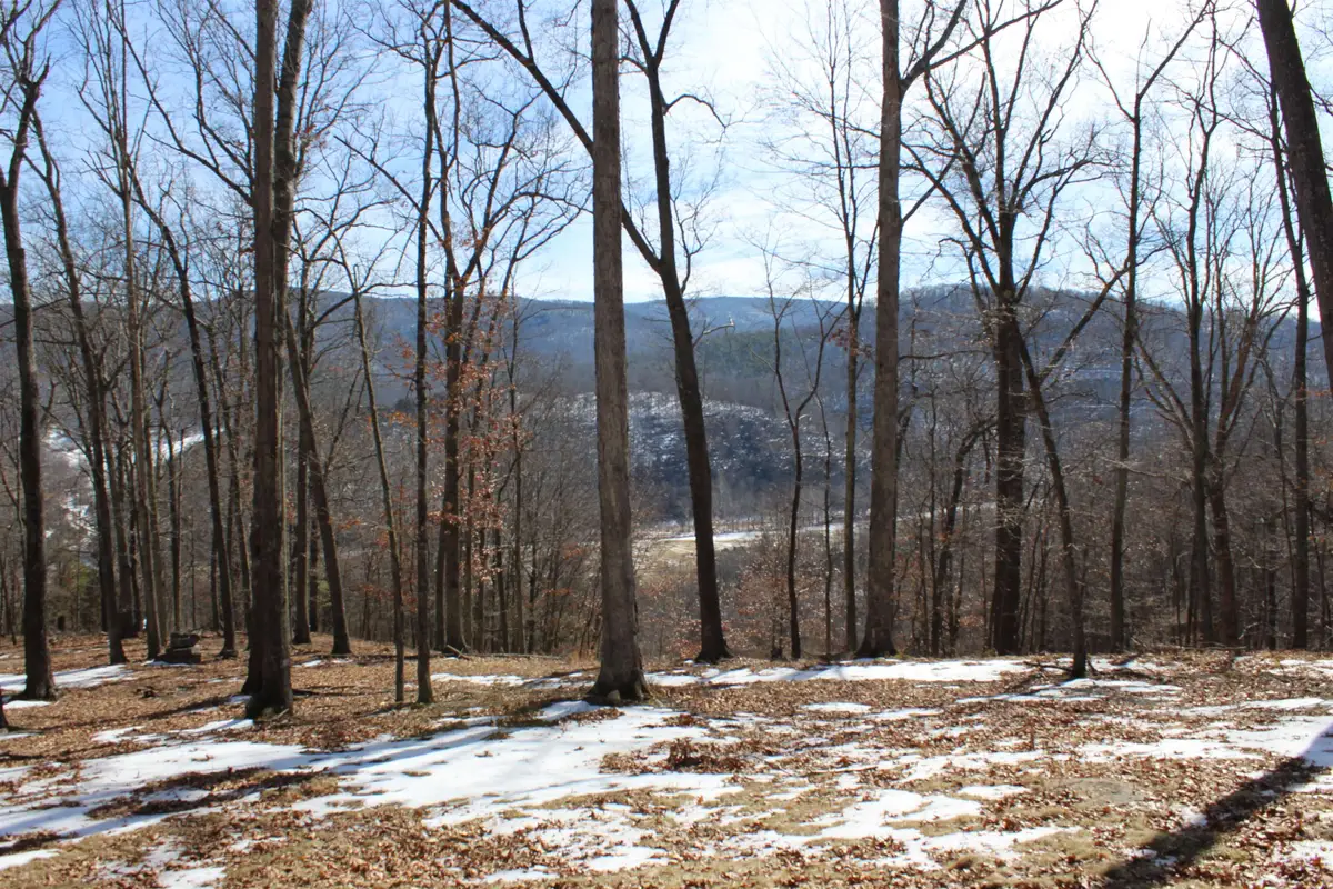 TBD Dogwood Dr, Monterey, VA 24465 - #1