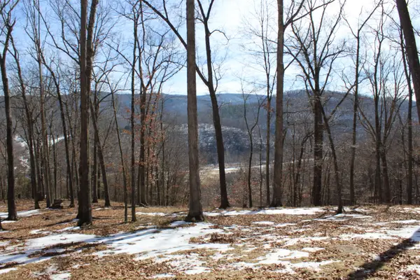 TBD Dogwood Dr, Monterey, VA 24465