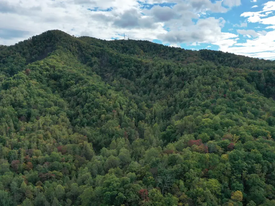 TBD Davis Creek Ln, Lovingston, VA 22949 - #2