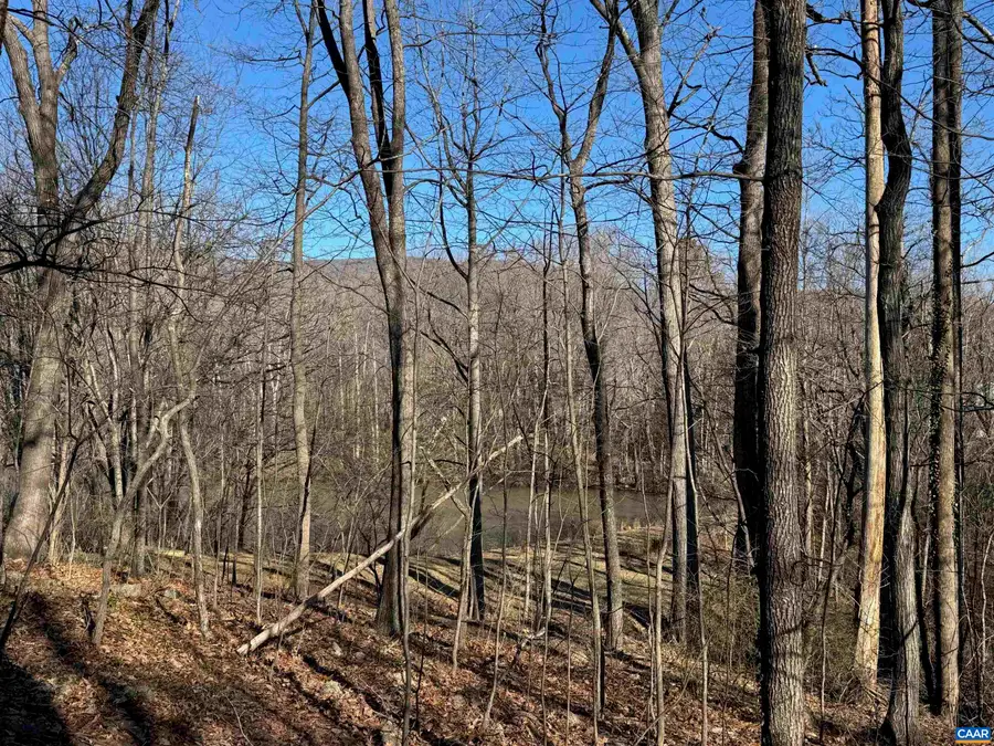 TBD Edmond Dr, Crozet, VA 22932 - #3