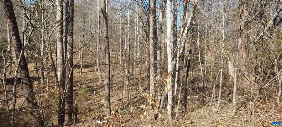 460 Jefferson, Palmyra, VA 22963 - #2
