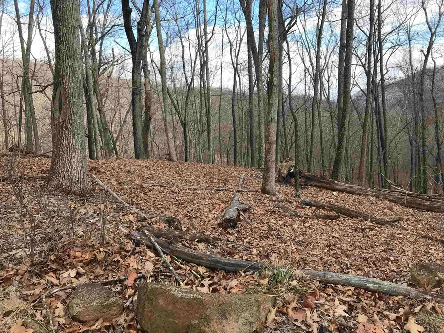 35 Dogwood Ln, Monterey, VA 24465 - #3