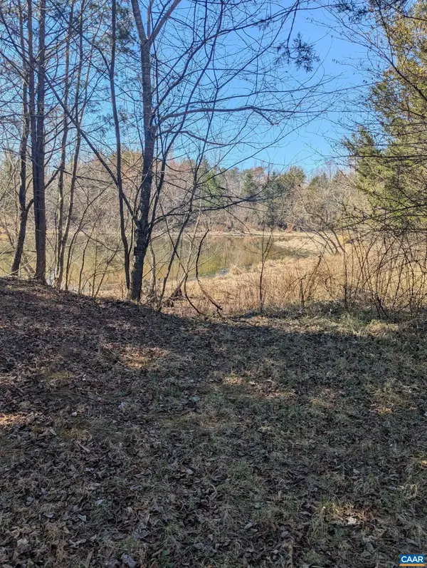 0 Goldfinch Ct, Scottsville, VA 24590