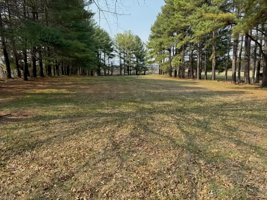 355 National Ave, Staunton, VA 24401 - #1