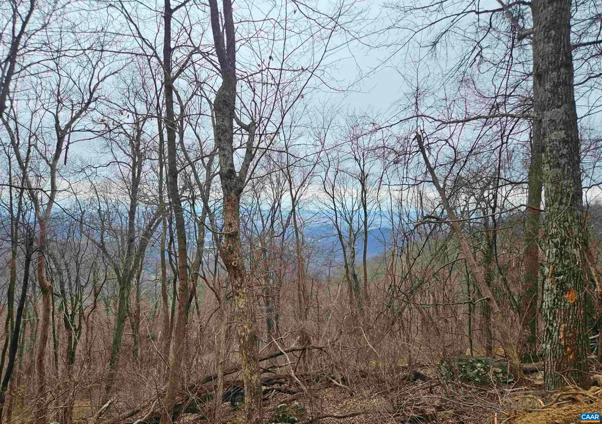 TBD Lot 17 & 18 Spring Branch Ln, Free Union, VA 22940 - #1