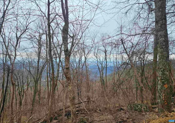 TBD Lot 17 & 18 Spring Branch Ln, Free Union, VA 22940