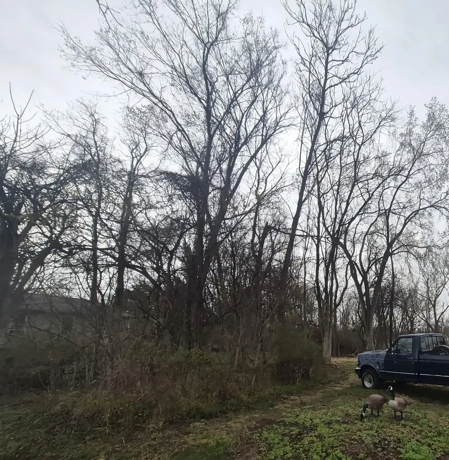 415 Jersey St, Staunton, VA 24401 - #2