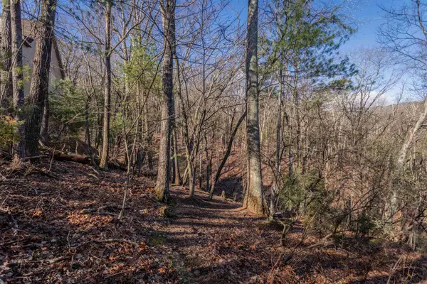 141 Laird Pl, Mcgaheysville, VA 22840